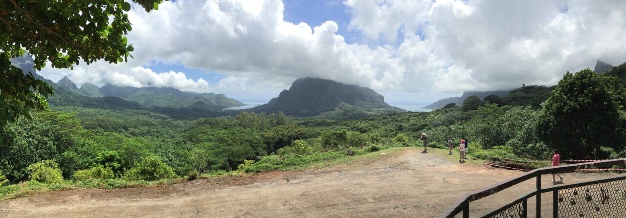 Adventures in Maybe Sitting